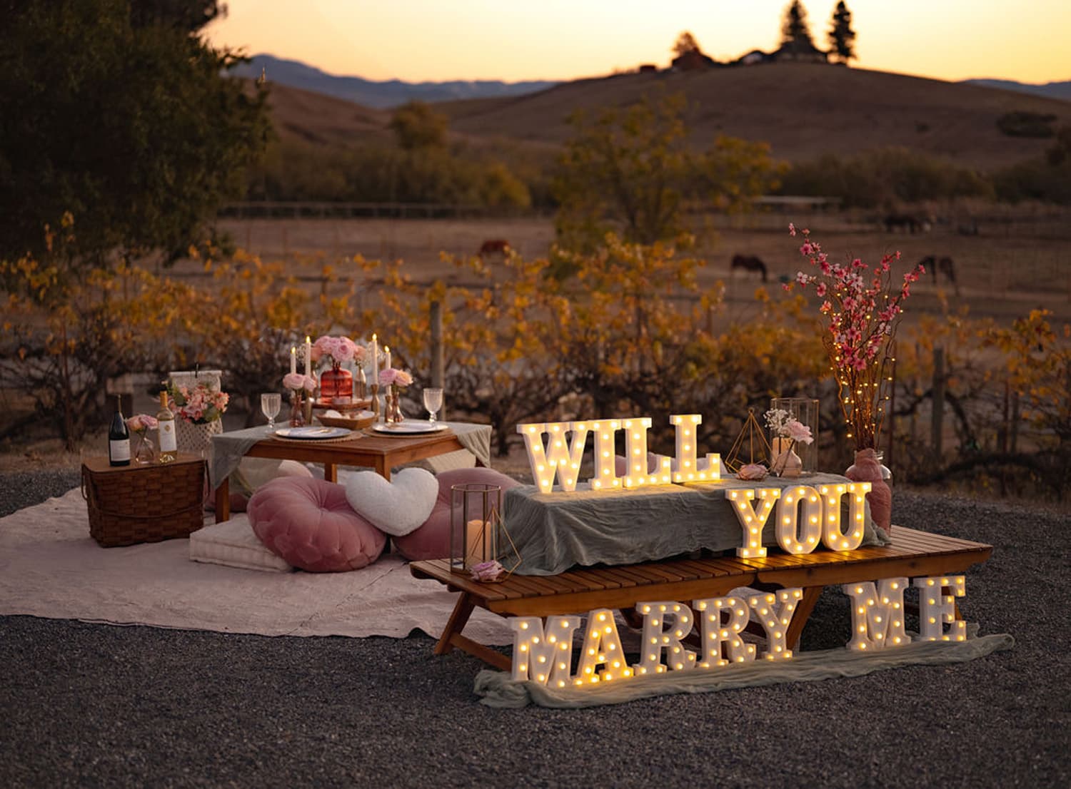 The Intimate Picnic Proposal